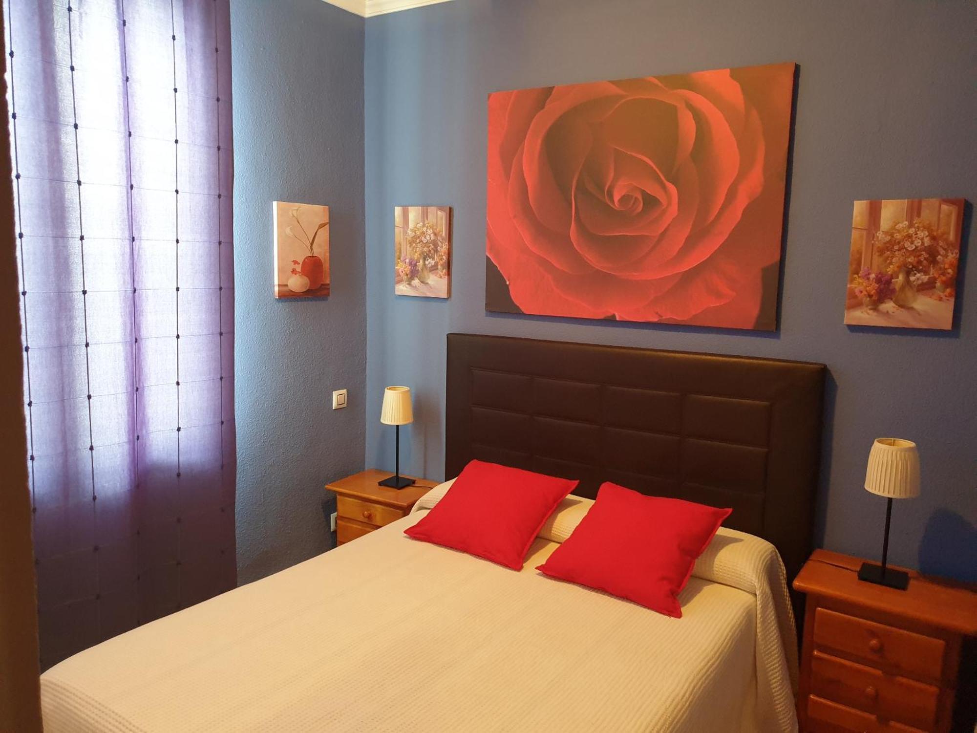 Apartamentos Dana Sol, Madrid